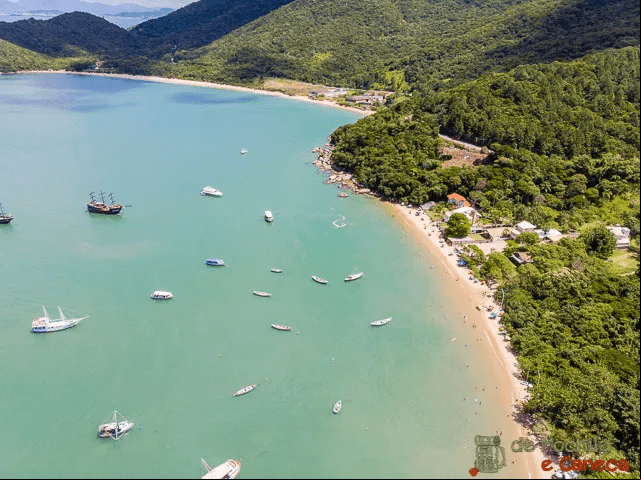Na foto: A bainha dos golfinhos. Uma praia de 